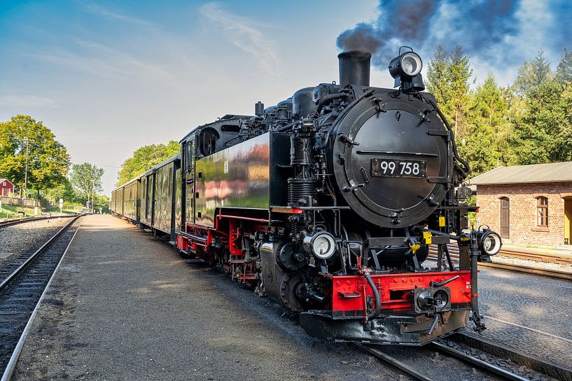 Uitzicht op het smalspoor in Bertsdorf van Andreas Völkel