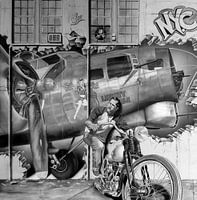 harley ,B 17, five point