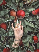 Apple Tree