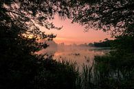 Fenn at sunrise by Moetwil en van Dijk - Fotografie thumbnail