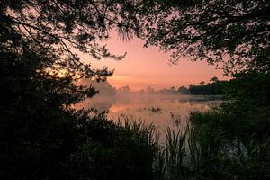 Fenn bei Sonnenaufgang