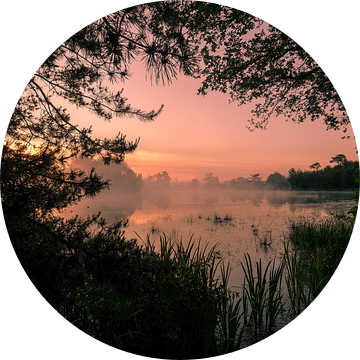 Vennetje bij zonsopkomst van Moetwil en van Dijk - Fotografie