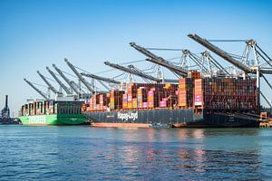 Die Containerschiffe Ever Alp und Al Nefud legten am Containerterminal an.