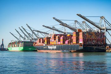 Die Containerschiffe Ever Alp und Al Nefud legten am Containerterminal an. von Sjoerd van der Wal Fotografie