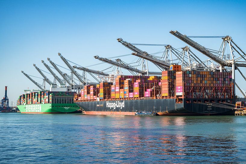 Container ships Ever Alp and Al Nefud docked at the container te by Sjoerd van der Wal Photography