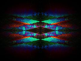 The Lake by Deichhorst-Fotografie