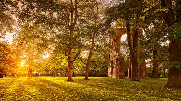 Lage zonnestralen dompelen de bomen en ruïnes van de Eldena-kloosterruïne in een warm gouden herfstlicht, een beroemd motief van de romantische schilder Casper David Friedrich van Stefan Dinse