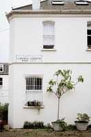 The streets of London