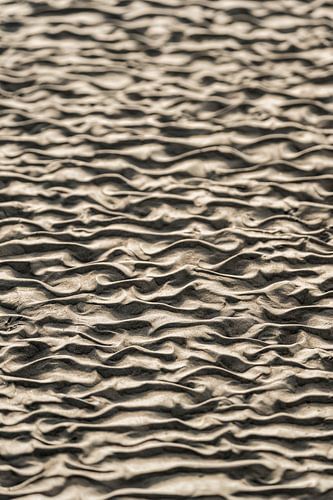 Rimpelingen in de Zandvlakte Het Ritme van de Natuur - Strand