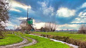 Paysage pittoresque