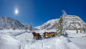 Paarden koets met veel personen in het zwaar besneeuwde Roseg dal, Pontresina, Oberengadin, Zwitserland van Rene van der Meer