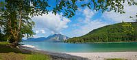 Lente aan de Walchensee Opper-Beieren