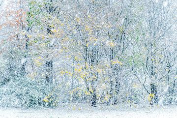 Vroege sneeuwstorm van Gonnie van de Schans