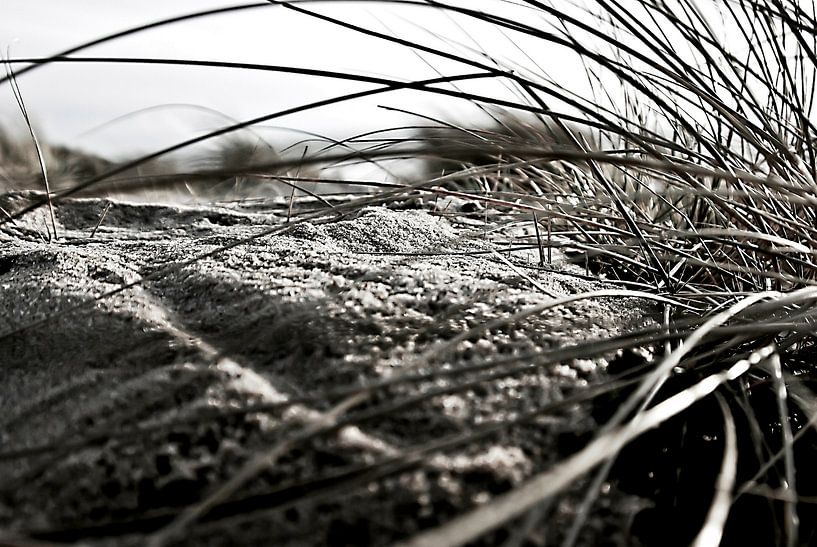Up on the dunes by Norbert Sülzner