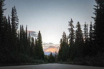 Laatste zonlicht in de Rocky Mountains | reisfotografie Canada van Laura Dijkslag