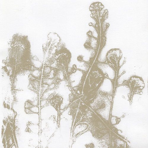 Soft botanical in beige on white. Neutral florals by Dina Dankers