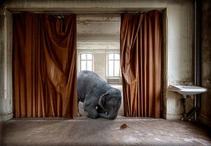 L'éléphant et la souris sur Marcel van Balken