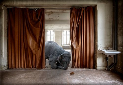 De olifant en de muis van Marcel van Balken