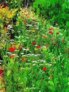 Wildflower Path To Woodland