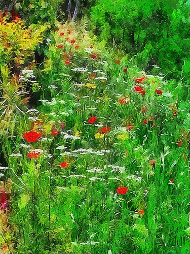 Wilde bloemenpad naar bos