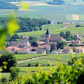 Frankrijk - Champagne / Ville-Dommange sur BTF Fotografie