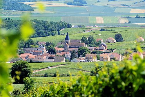 Frankrijk - Champagne / Ville-Dommange