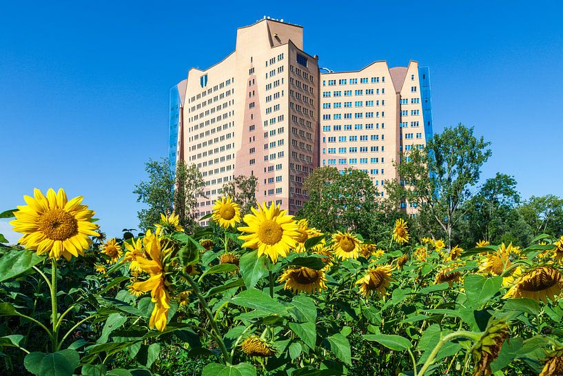 Le bâtiment Gasunie à Groningen, aux Pays-Bas, avec au premier plan un terrain plein de floraison To par Evert Jan Luchies