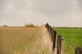 Along the Weidegrens