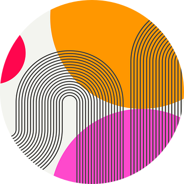 Moderne Abstracte Boog Geometrisch Organisch Kleurrijk van Mad Dog Art