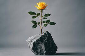 Rose with leaves on stone by Imperial Art House