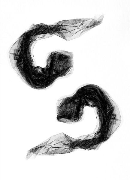 FERTILE - Picses by Riet Debruyne