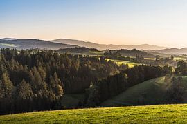 Goldene Abendstimmung im Schwarzwald bei St. Märgen - Hügellandschaft von Conny Pokorny