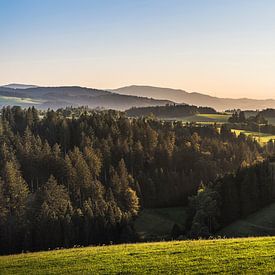 A golden evening atmosphere in the Black Forest near St. Märgen – a hilly landscape by Conny Pokorny