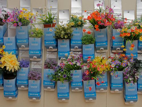 Bar le duc plantenpakken