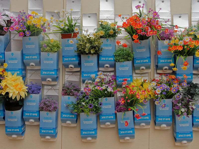 Bar le duc plant suits by cobofoto