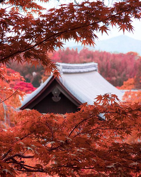 Kyoto by Hello Pompoyo