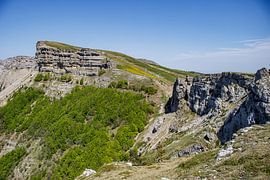 Vercors von ton vogels