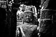 Buddha in der Mrauk U Sittwe-Tempelanlage in Myanmar/Burma. von Ron van der Stappen Miniaturansicht