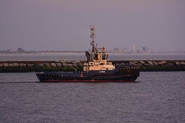 Schleppboote und Sonnenuntergang IJmuiden von scheepskijkerhavenfotografie
