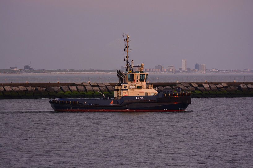 Sleepboten en zonsondergang IJmuiden van scheepskijkerhavenfotografie