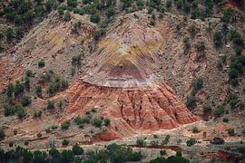 Colourful details from above by Frank's Awesome Travels