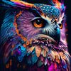Bunte Eule von drdigitaldesign