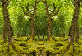 Kaleidosquare sur Kaleidosquare