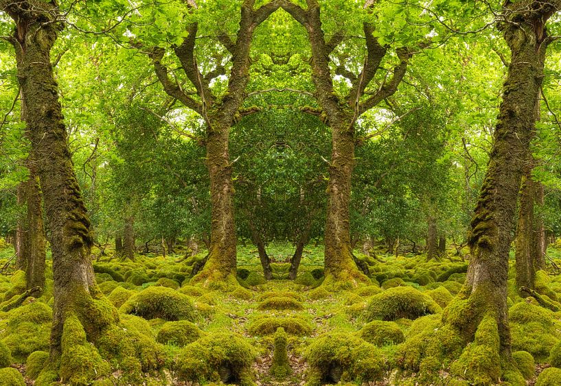Kaleidosquare par Kaleidosquare