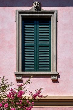 Roze muur met gesloten luiken van Photography art by Sacha
