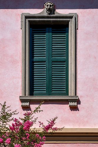 Pink wall with closed shutters