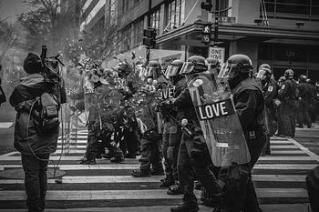 Spreading Flowers 2.