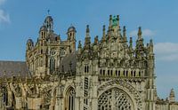 Saint John's Cathedral 's-Hertogenbosch van Freddie de Roeck thumbnail