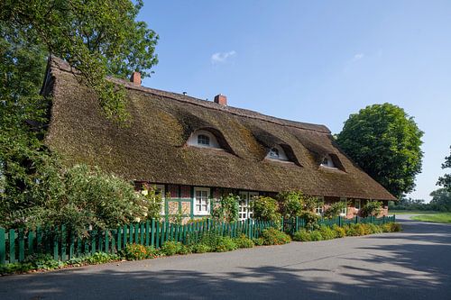 Reetgedecktes Bauernhaus im Bremer Blockland, Bremen, Deutschland, Europa
