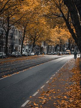 Ceintuurbaan in autumn - Moody #3 by Roger Janssen